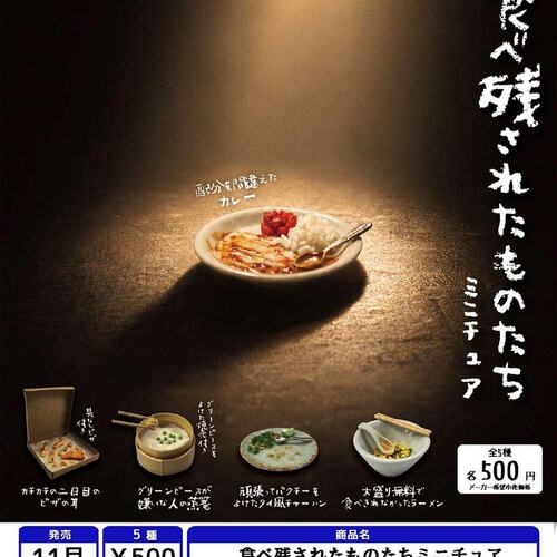12月日本RAINBOW 吃剩的食物迷你微缩摆件残食料理仿真扭蛋