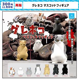 现货 日本Qualia 目光凶狠的猫 第一弹 野猫三花猫小猫咪摆件扭蛋