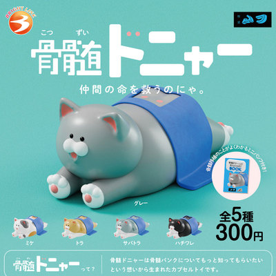 现货日本Brightlink 骨髓猫 日式可爱小猫咪摆件扭蛋潮玩