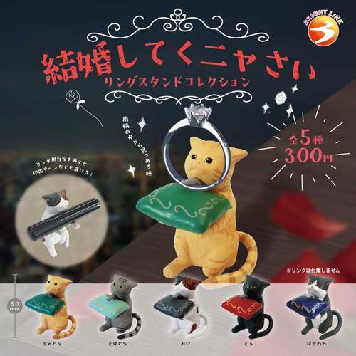 可爱求婚猫咪戒指架玩具扭蛋摆件