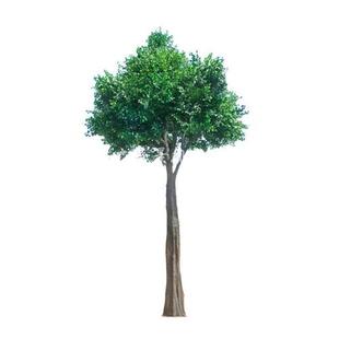 仿真榕树定制大型室内阻燃仿真大树人造酒店景观工程造景包柱假树