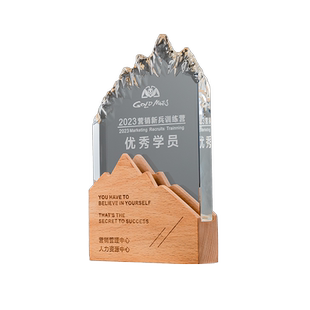 实木水晶山峰奖杯定制创意奖牌制作优秀员工月度颁奖纪念品订做