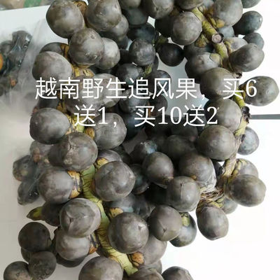 越南正宗新鲜追风果刺虎现采摘野生鲜果10个20个果泡酒外用包邮