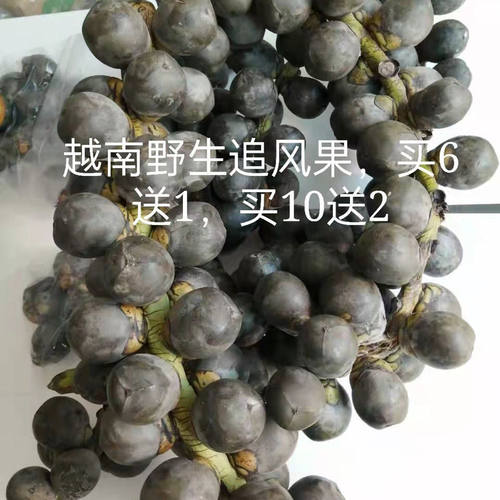 越南正宗新鲜追风果刺虎现采摘野生鲜果10个20个果泡酒外用包邮