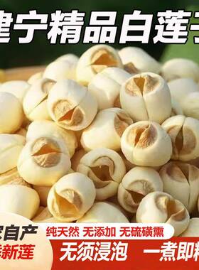 正宗福建建宁莲子原产地直销去通芯优质莲子纯天然500g克无心莲子