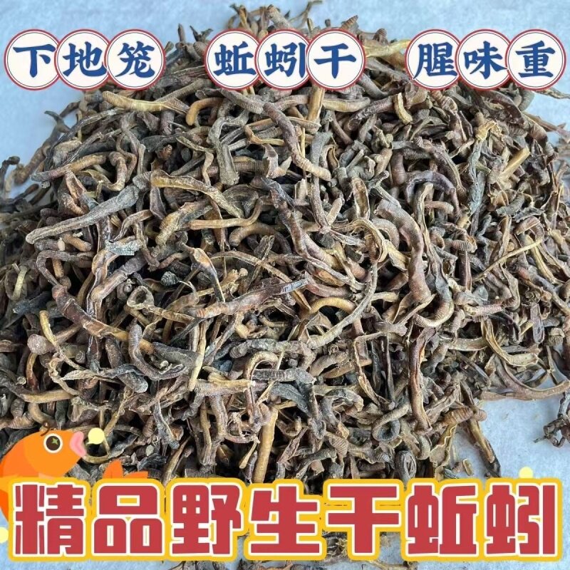 蚯蚓干货黄鳝笼专用诱饵钓鱼饵料大黑蚯蚓干青蚯蚓整条地龙臭蚯蚓