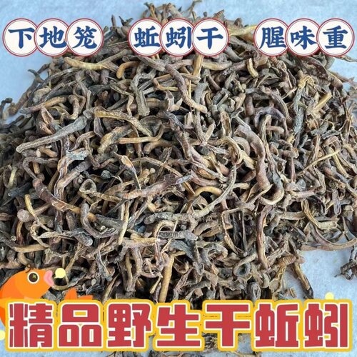 蚯蚓干货黄鳝笼专用诱饵钓鱼饵料大黑蚯蚓干青蚯蚓整条地龙臭蚯蚓