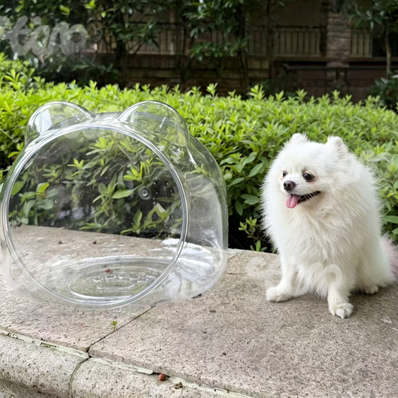 流浪猫喂食碗防雨罩防蚁虫户外图片