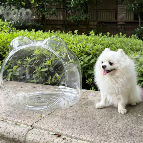 流浪猫喂食碗防雨罩防蚁虫户外