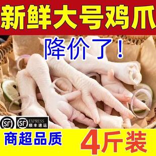 大号鸡爪子生冷冻生鲜凤爪新鲜非无骨泡椒鸡爪整箱批 发鸡脚商用