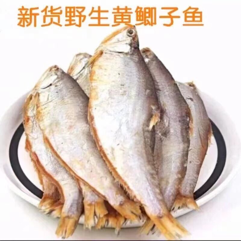 新晒半干黄鲫鱼咸鱼干毛扣鱼500g油扣黄尖子腌制马口鱼干海鲜干货图片