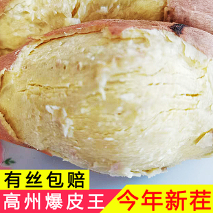 正宗高州爆皮王番薯广东茂名板栗薯农家自种现挖白心地瓜粉糯红薯