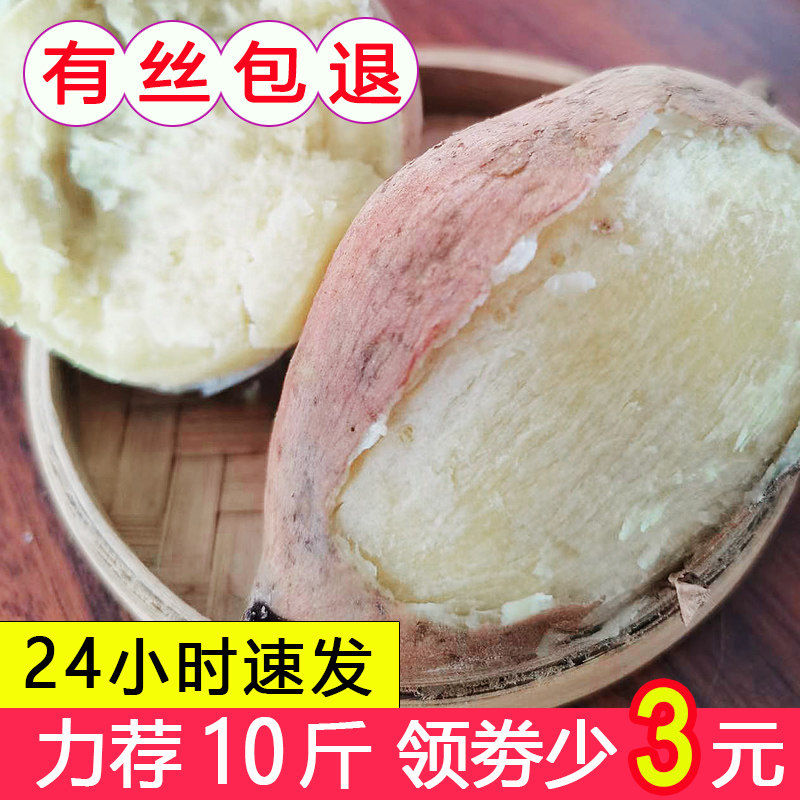 高州爆皮王番薯新鲜农家自种10粉糯地瓜茂名沙地板栗白薯白心红薯