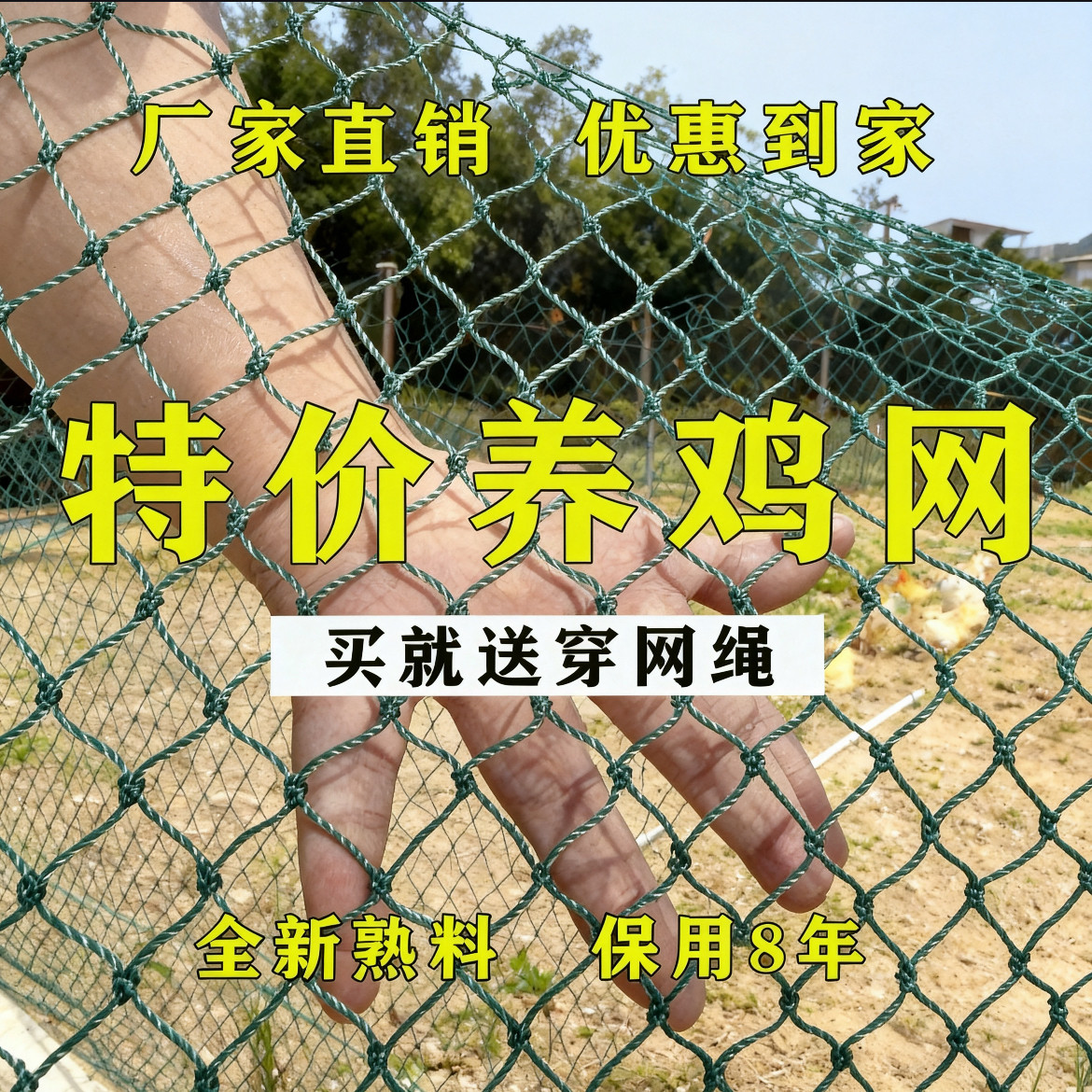 养鸡网拦鸡网家禽养殖网围鸡网菜园围栏网尼龙网山鸡网大棚网顶网