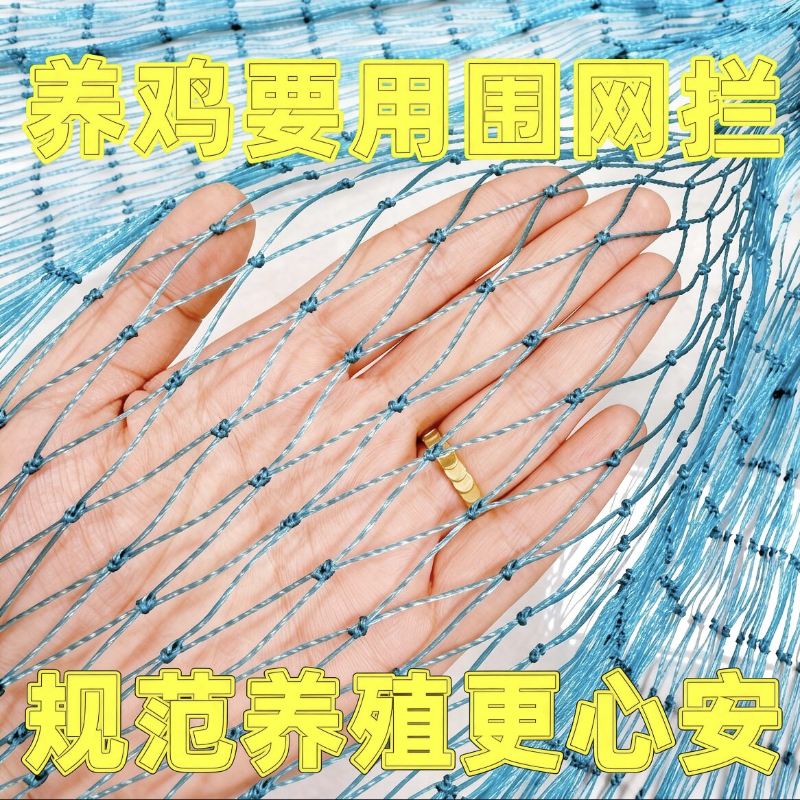 养鸡网拦鸡网加粗围鸡鸭鹅养鸡围栏网山鸡网土鸡养殖网顶网防鸟网
