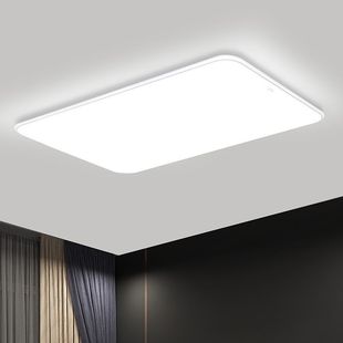 雷士照明护眼吸顶灯小白灯高显色客厅主灯卧室灯2025新款全屋灯具