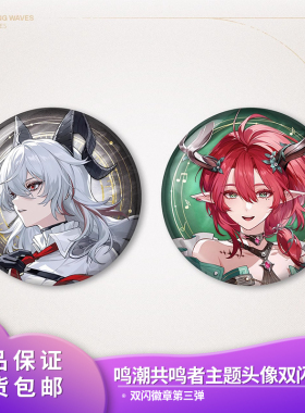 正品鸣潮共鸣者主题头像双闪徽章第三弹二次元吧唧谷子 赞妮夏空