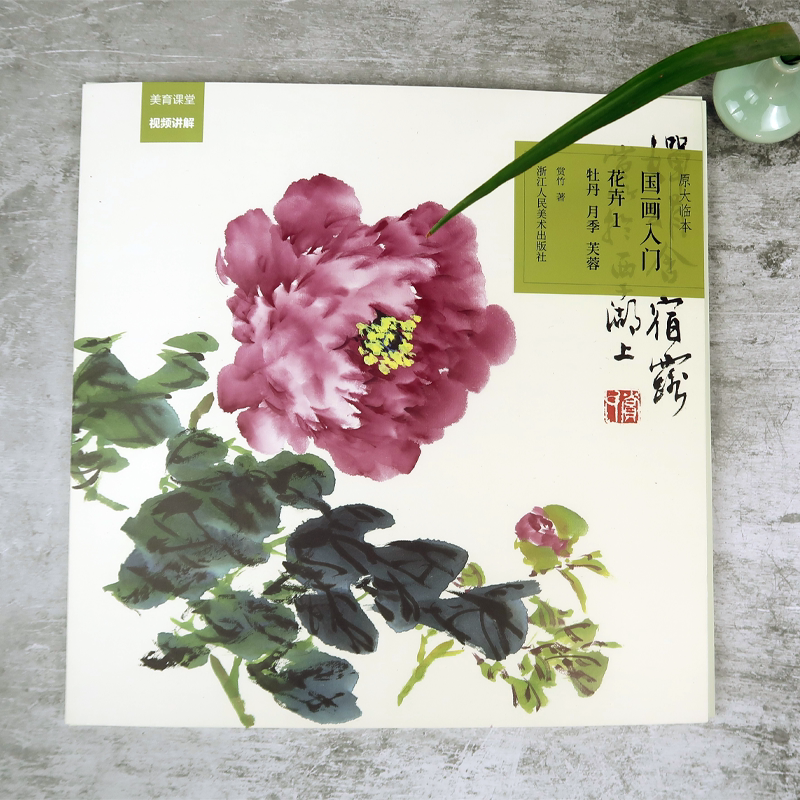 国画入门(花卉1牡丹月季芙蓉) 原大原色临本视频教程  初学者国画入门