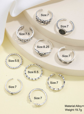 EuropeanAmicVtagR10PS