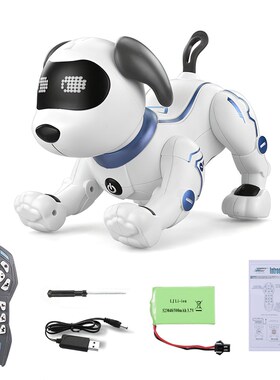 RC Robot TOYS Electronic Pets Robot Dog with Battery Dance V