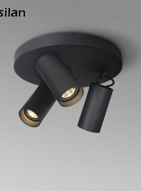 Aisilan LED Ceiling Light GU10 replaceable bulb directional