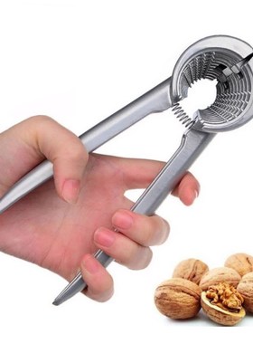 Walnut Pecan Hazelnut Hazel Filbert Nut Kitchen Nutcracker S