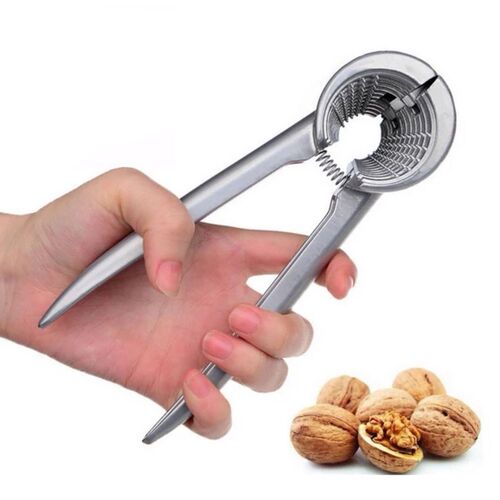 Walnut Pecan Hazelnut Hazel Filbert Nut Kitchen Nutcracker S