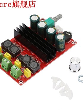 DC12-24V High Power 2*100W Dual Channel Digital Amplifier Au