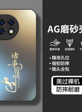 适用一加ACE2手机壳1+AEC2pro新款1十oppoACE25G保护2套por全包oneplus后壳5G防摔PHK110外壳PJA男AC2女oppo