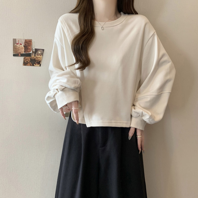 欧美风简约纯色圆领长袖卫衣女士薄款春秋装宽松短款小个子无帽上