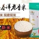 农家香米20斤粳米软香米 包邮 促销 新大米崇明岛羊春洋10Kg