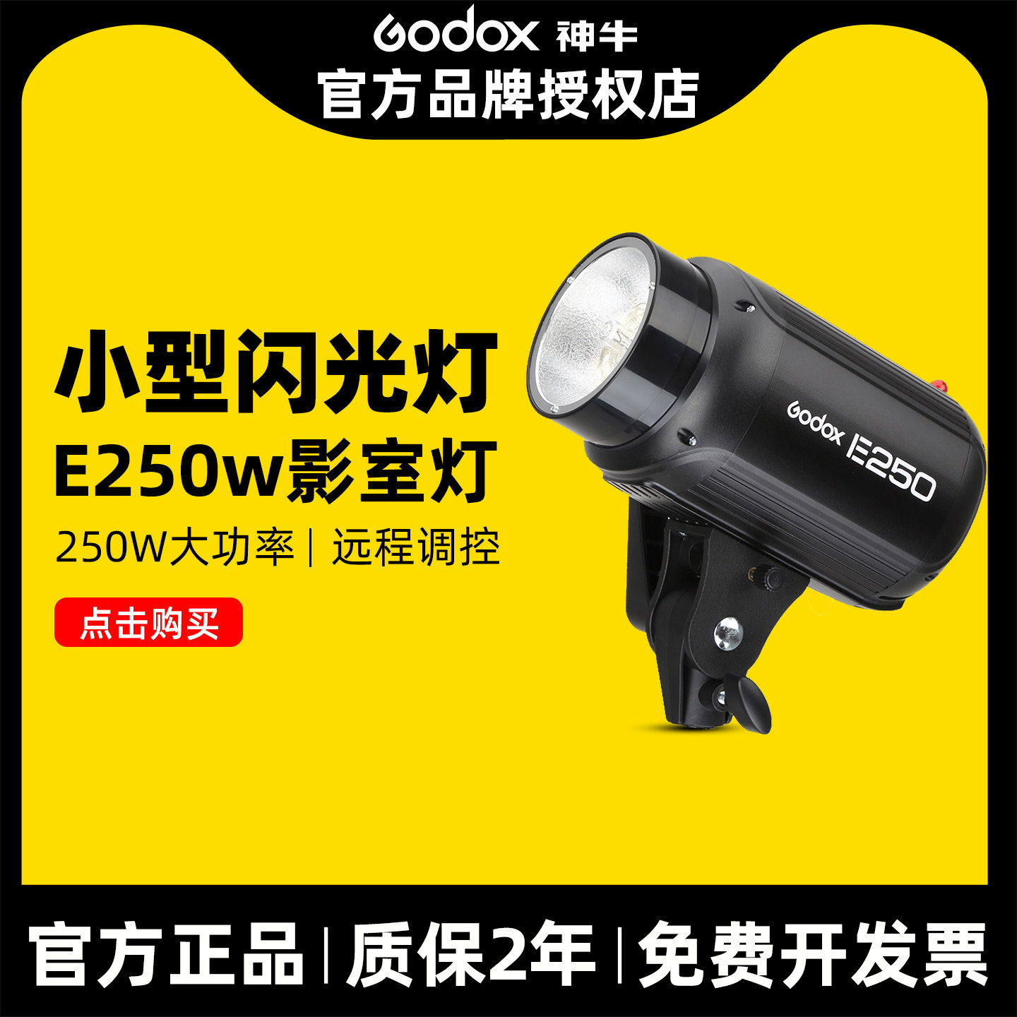 Godox神牛200W E250W影棚闪光灯摄影棚灯套装证件拍照灯静物灯电商拍摄服装小型影棚灯食品小饰品珠宝拍摄灯