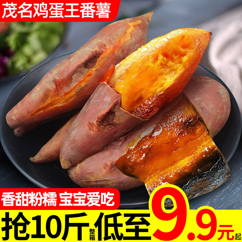 茂名鸡蛋王番薯10斤装板栗黄红薯黄心红薯现挖现发粉糯山芋地瓜5