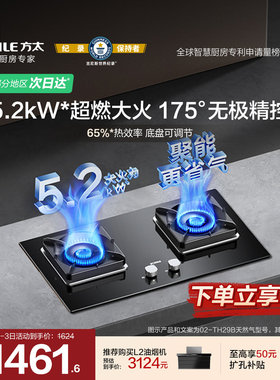 Fotile/方太 02-TH29B燃气灶嵌入式家用天然气双灶具煤液化炉台