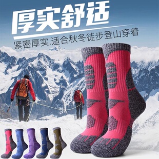 专业滑雪袜女冬季加厚毛巾底保暖运动袜子男款爬山户外登山雪地袜