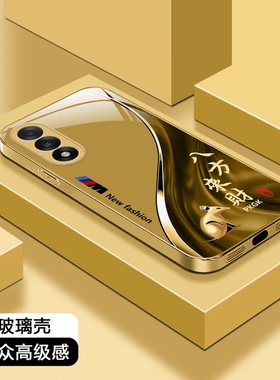 福瑞生肖电镀金玻璃壳适用一加ACE5至尊版手机壳新款一加13/12高档裸机手感全包耐磨ACE3金色来财保护壳男款