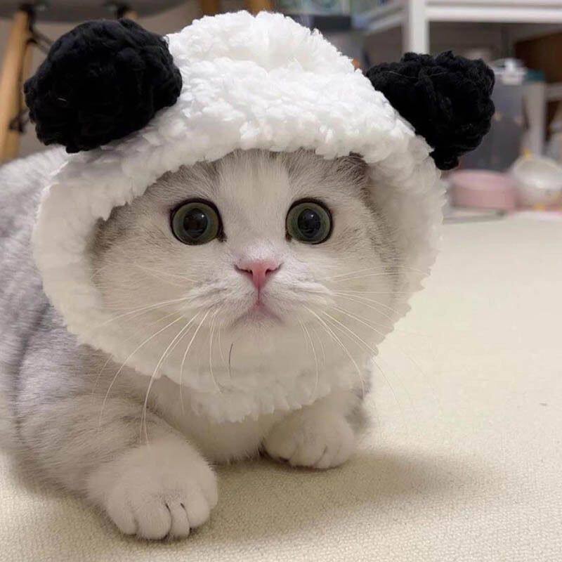 猫咪狮子头套宠物头饰可