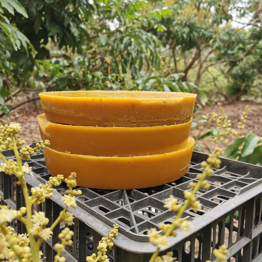 诱蜂蜡中蜂老脾封盖蜡引蜂蜡招蜂蜡蜂蜡诱蜂用土蜂蜡养蜂诱蜂工具