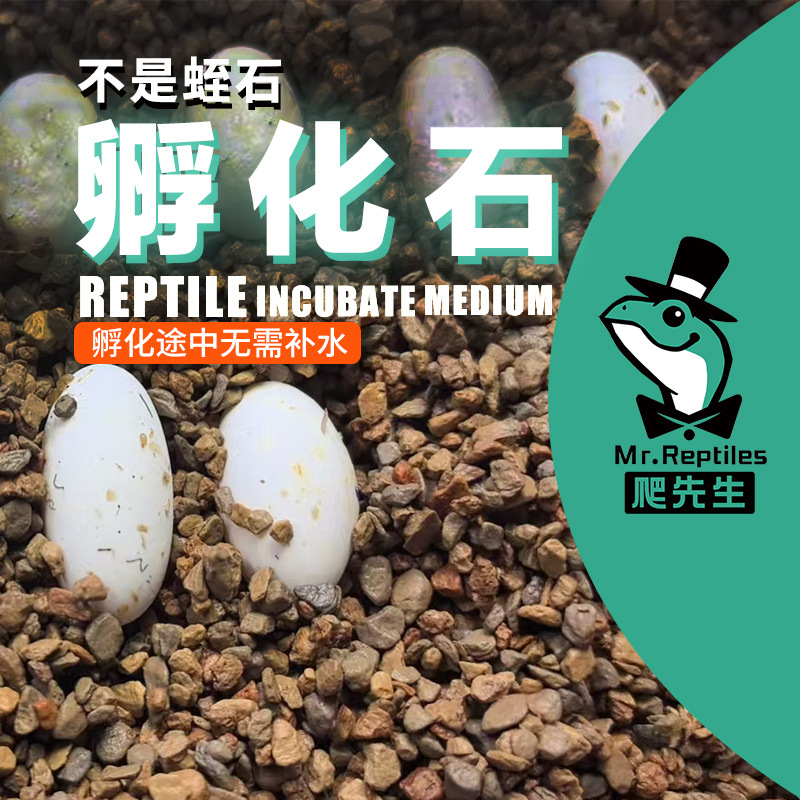 爬先生爬虫孵化石非蛭石爬宠睫角守宫蛇乌龟陆龟鬃狮孵化垫料