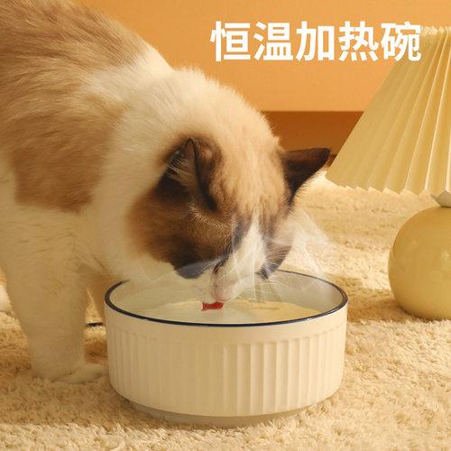 宠物加热恒温碗智能自动发热保温猫咪狗狗防干烧饮水机陶瓷碗