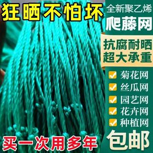 爬藤网植物攀爬网黄瓜冬瓜吊瓜丝瓜葡萄网搭架蔬菜网格农用爬藤网