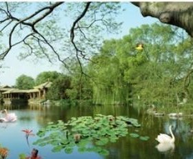 beibehang Custom Wallpaper Mural Landscape Sky Ceiling Mural