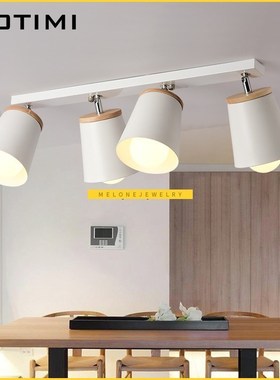 BOIMI Modern White Ceiling Lights  Corridor Adjustable Metal