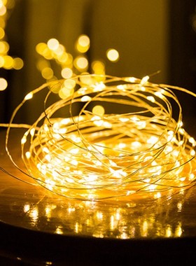 1-10M LED String Lights Copper Wire Fairy lights Night Light