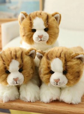 35 CM Super Cute Like Real  Toys Kitty Kitten Doll Simul