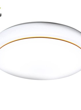 Modern Brief LED Ceiling Lights 220/230/240V High Brightness