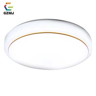 Modern Brief LED Ceiling Lights 220/230/240V High Brightness