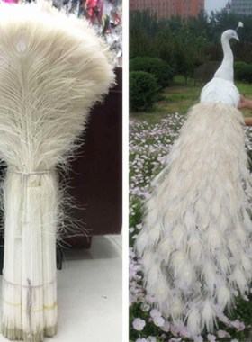 Wholesale 50pcs beautiful white natural peacock feather eye