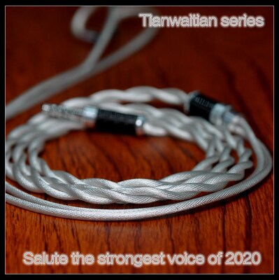 Tianwaitian series earphone upgrade cable gold silver palla