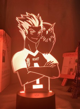 Acrylic Led Night Light Anime Haikyuu Shoyo Hinata Figure fo